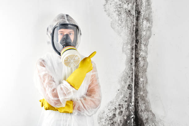 Biohazard Mold Removal in Haverhill, FL