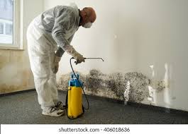 Professional Mold Removal & Remediation in Haverhill, FL